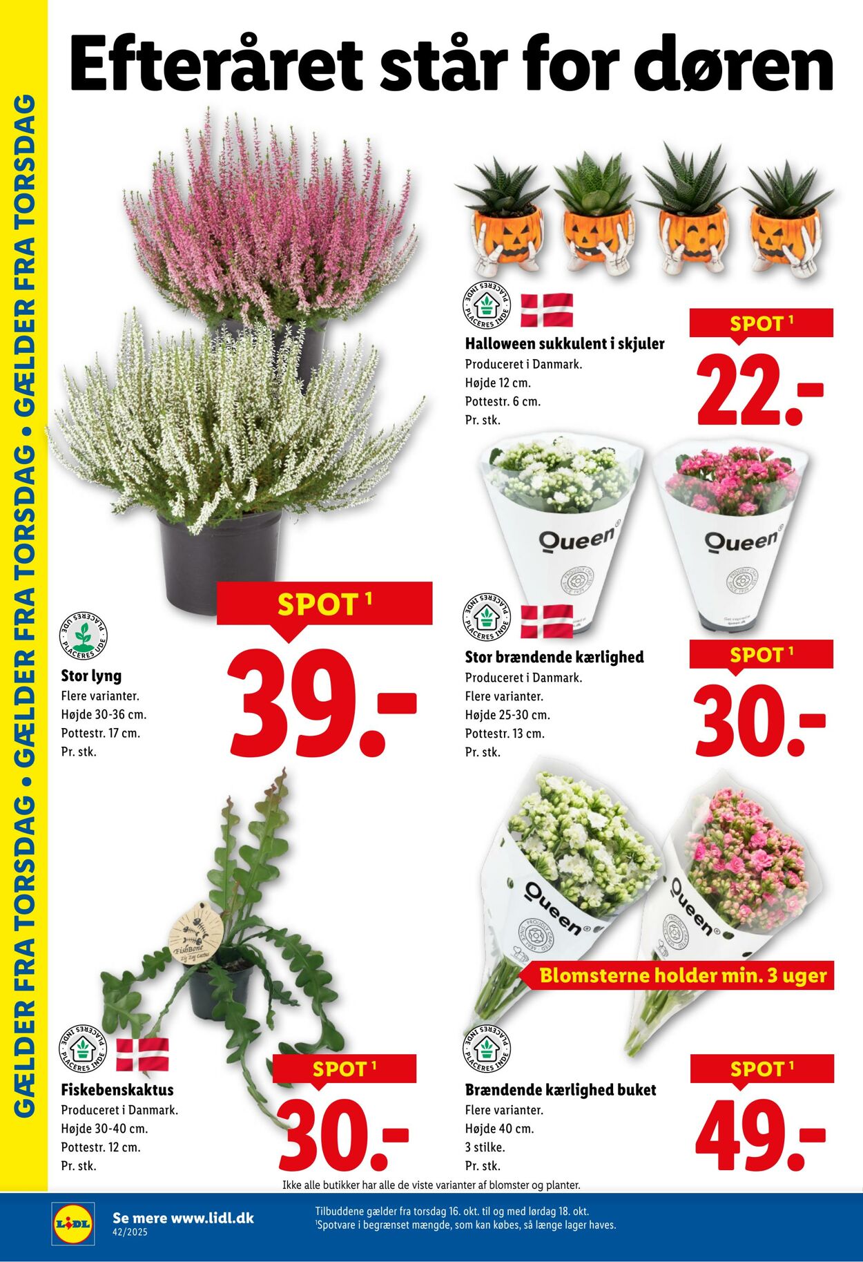 Tilbud Lidl 11.10.2025 - 18.10.2025