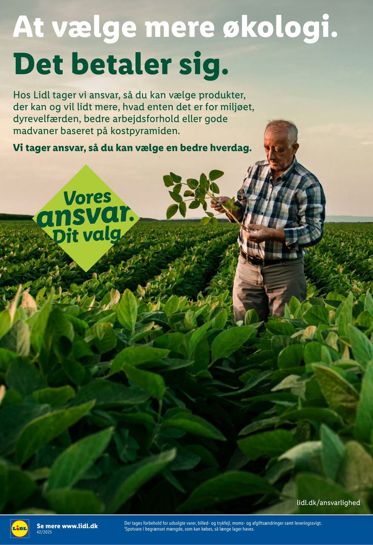 Tilbud Lidl 11.10.2025 - 18.10.2025