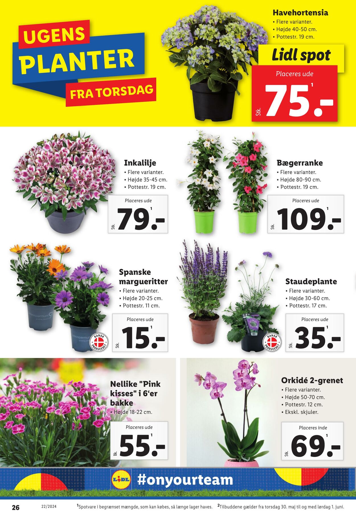 Tilbud Lidl 25.05.2024 - 01.06.2024