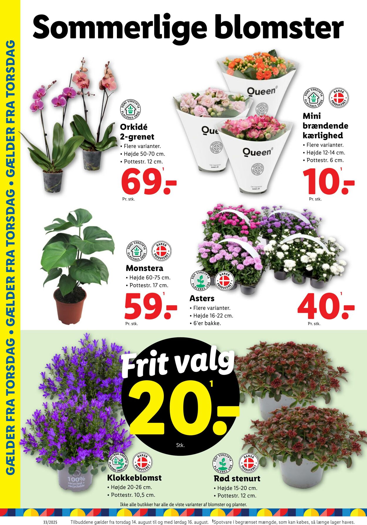 Tilbud Lidl 09.08.2025 - 16.08.2025