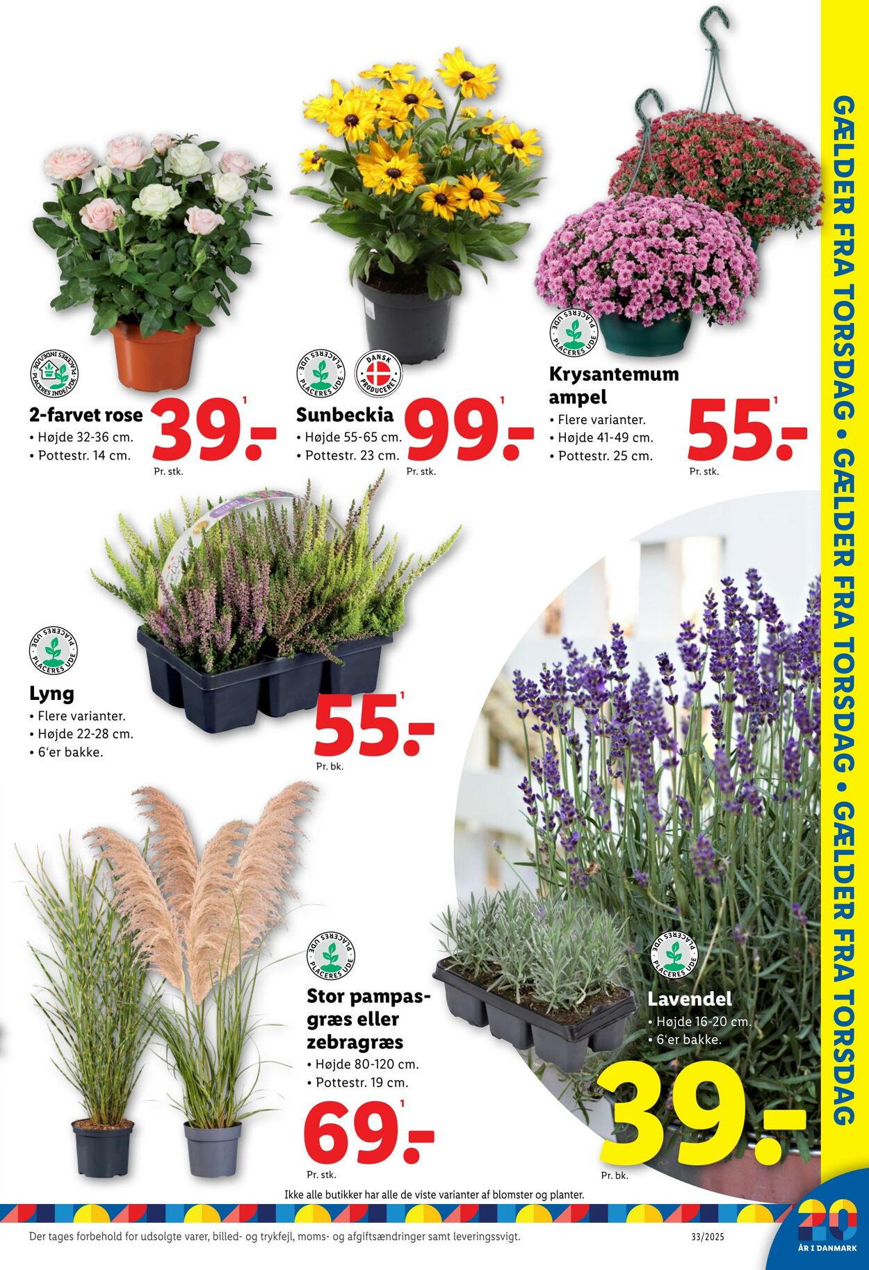 Tilbud Lidl 09.08.2025 - 16.08.2025