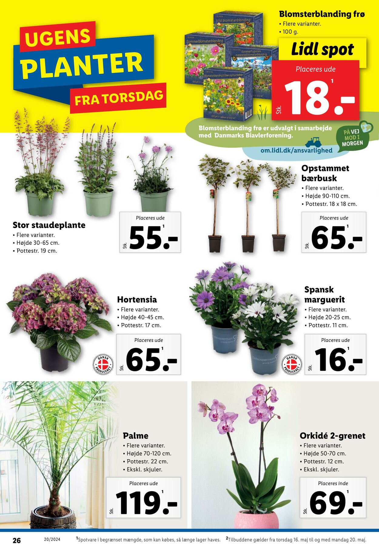 Tilbud Lidl 10.05.2024 - 20.05.2024