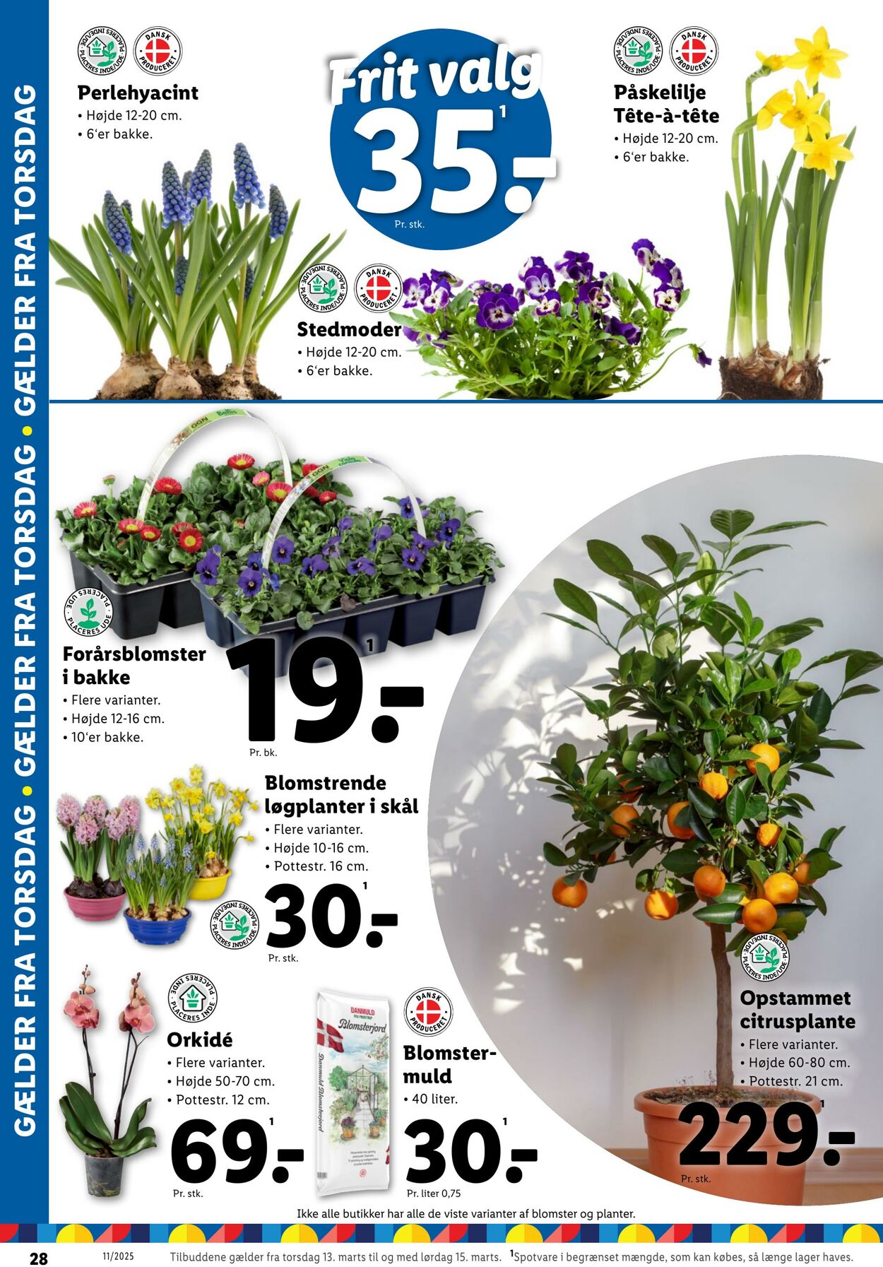 Tilbud Lidl 08.03.2025 - 15.03.2025