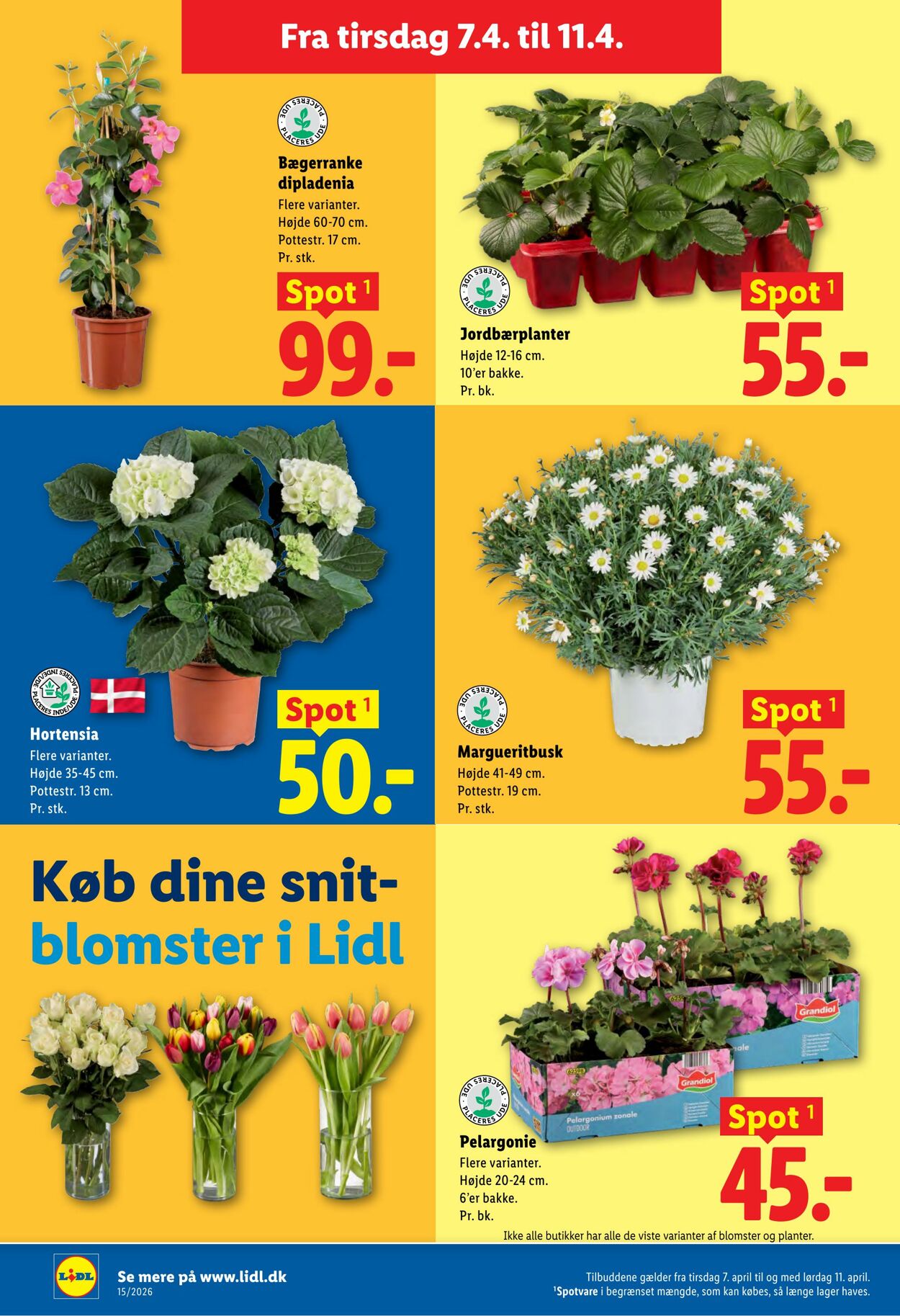 Tilbud Lidl 04.04.2026 - 11.04.2026