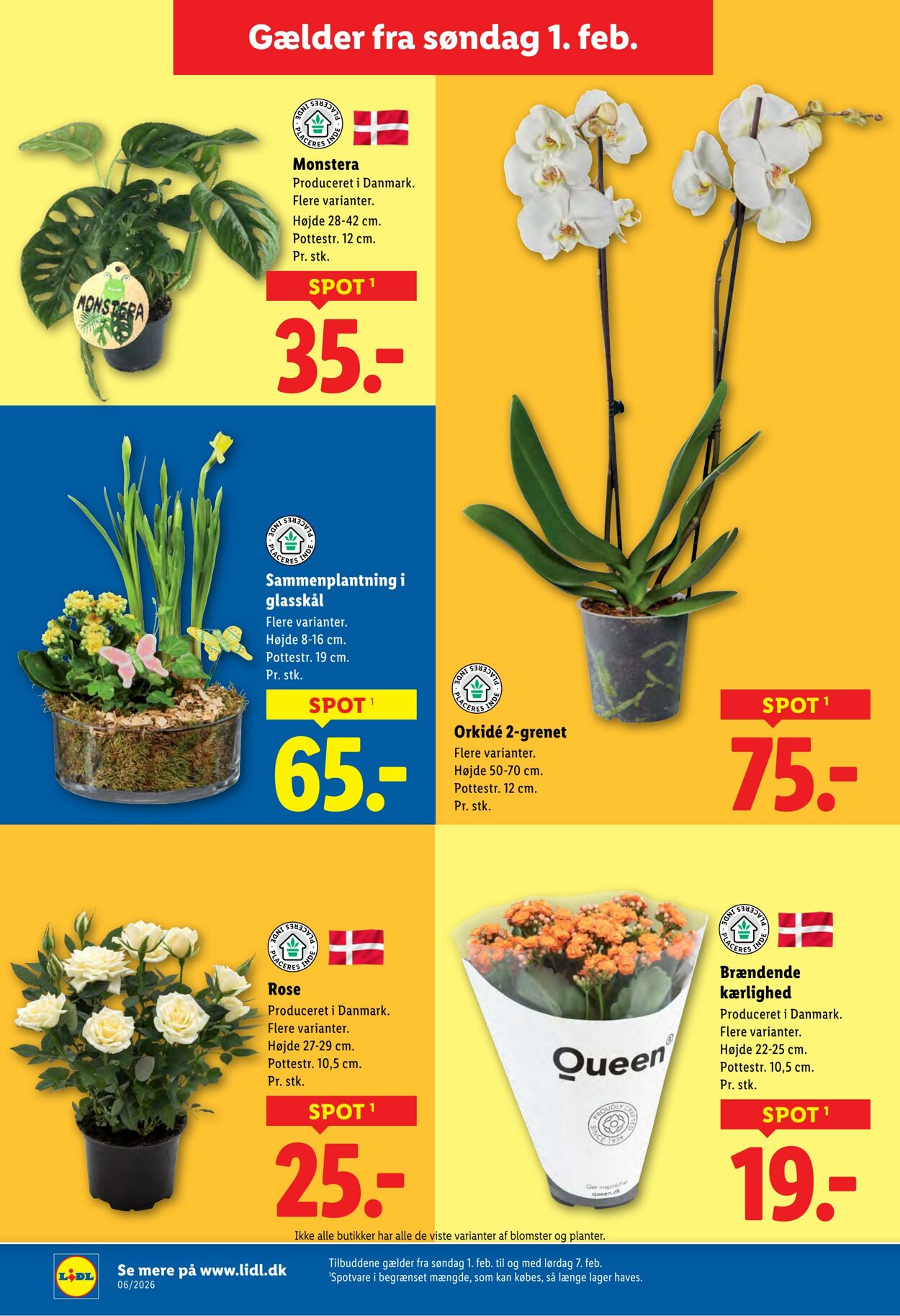 Tilbud Lidl 31.01.2026 - 07.02.2026