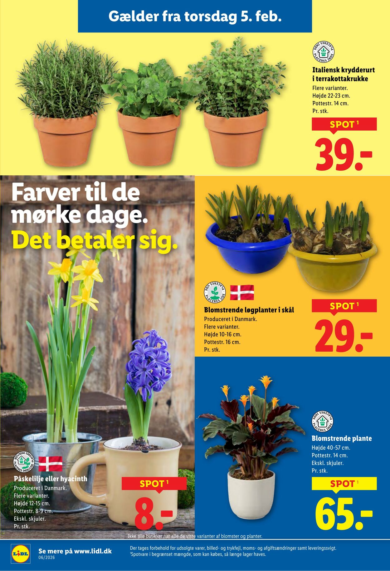 Tilbud Lidl 31.01.2026 - 07.02.2026
