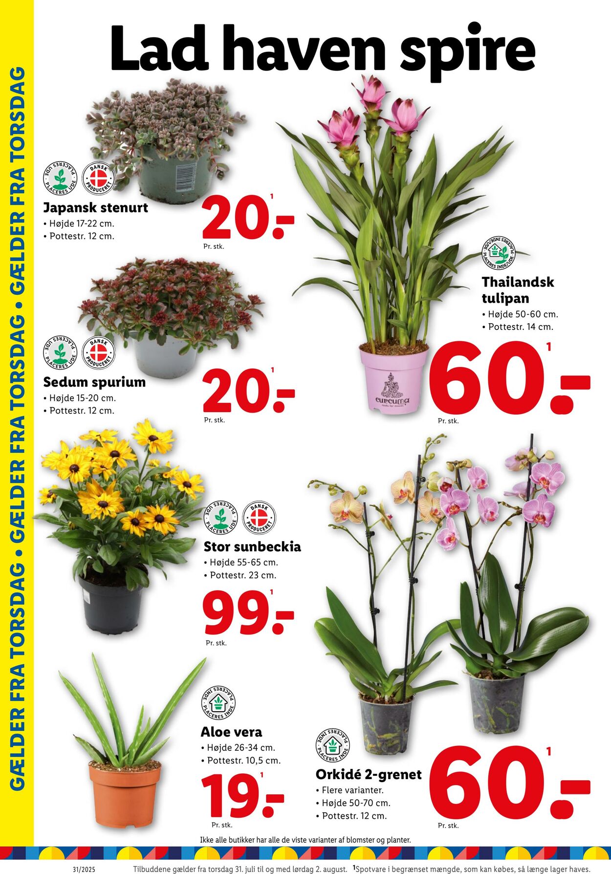 Tilbud Lidl 26.07.2025 - 02.08.2025