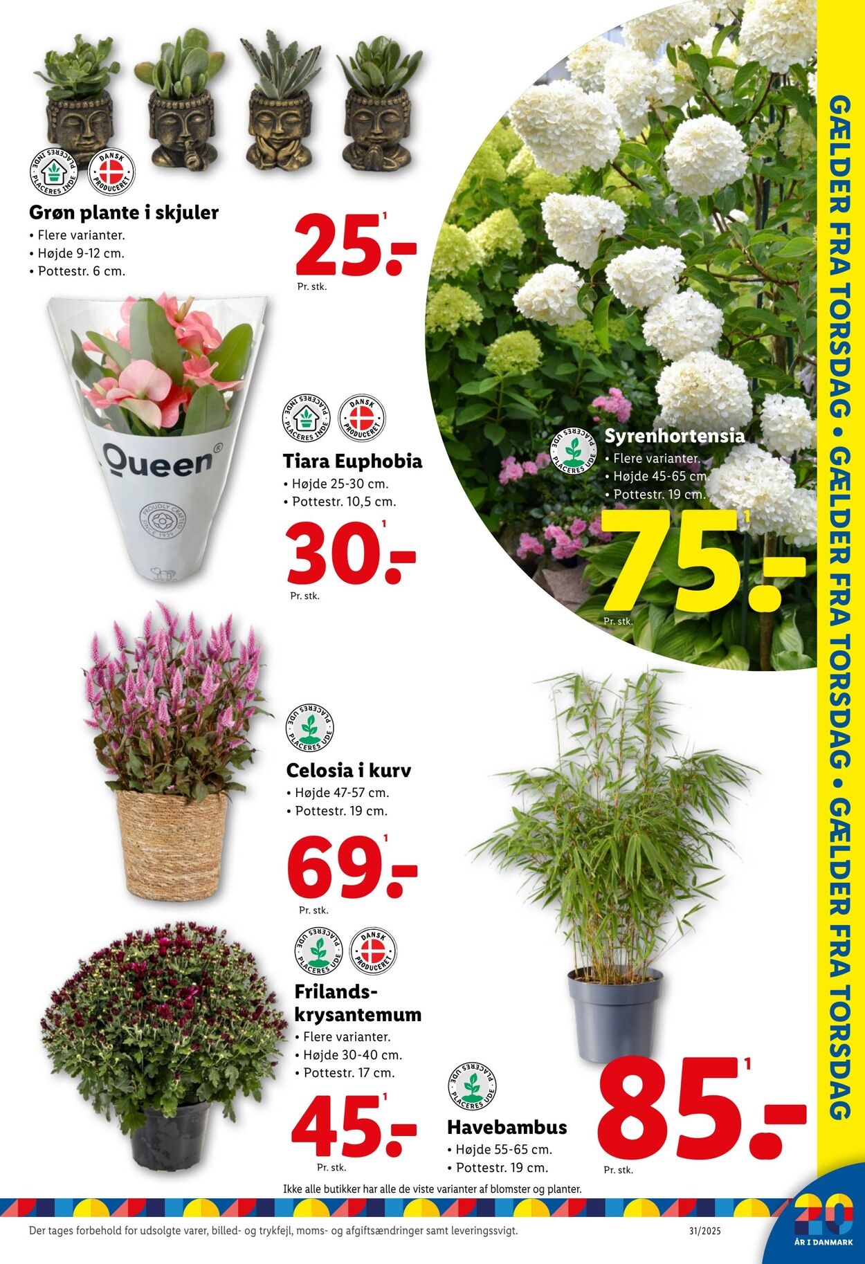 Tilbud Lidl 26.07.2025 - 02.08.2025