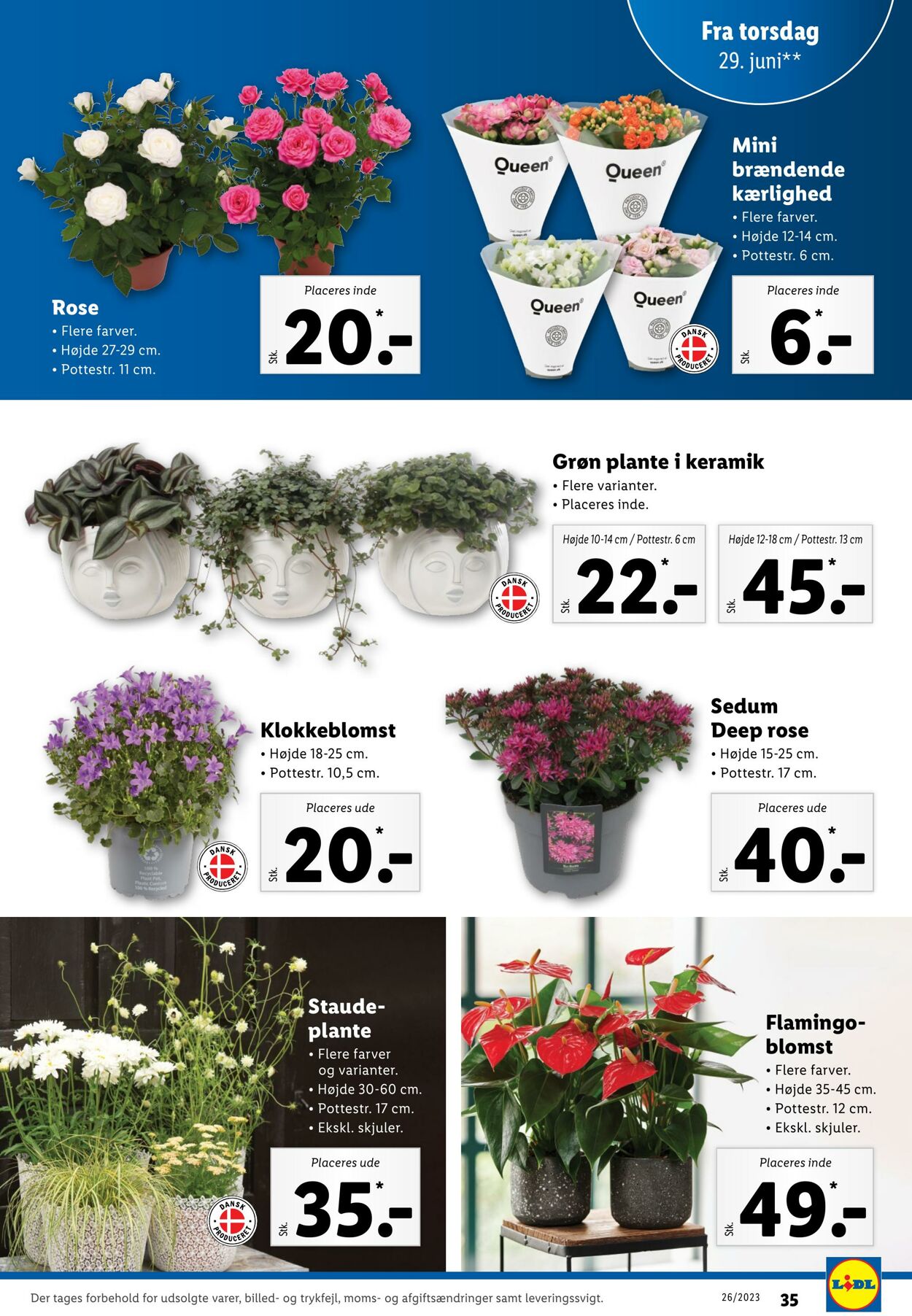 Tilbud Lidl 24.06.2023 - 01.07.2023