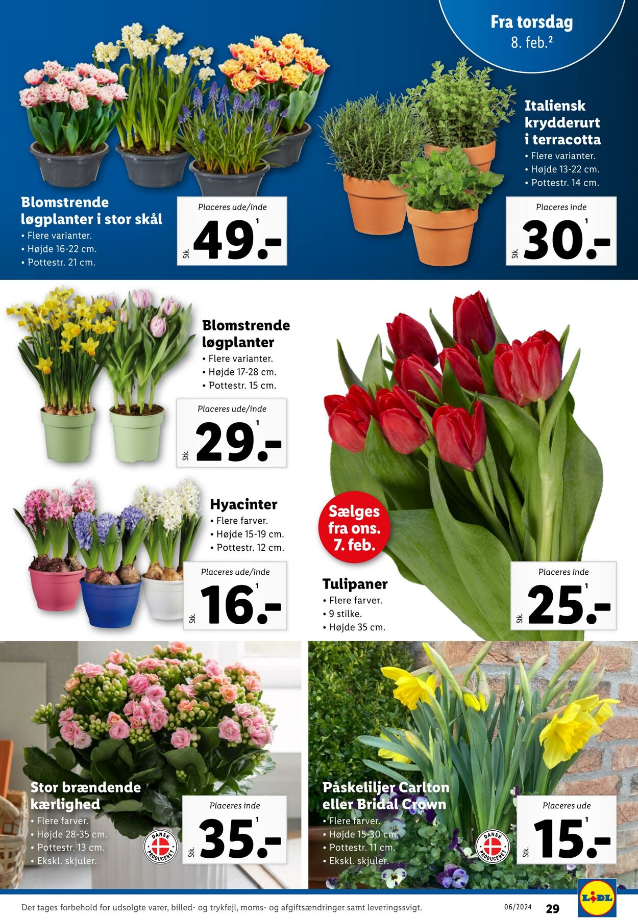 Tilbud Lidl 03.02.2024 - 10.02.2024