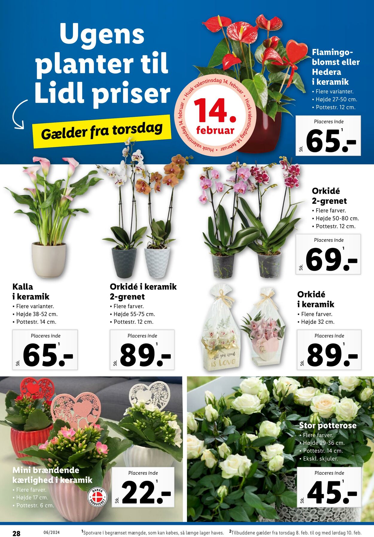 Tilbud Lidl 03.02.2024 - 10.02.2024