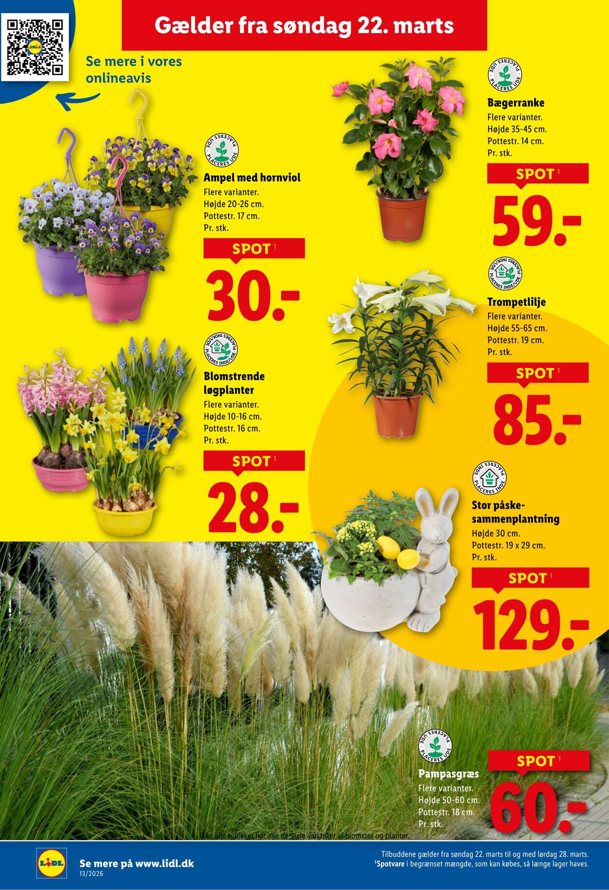 Tilbud Lidl 21.03.2026 - 28.03.2026