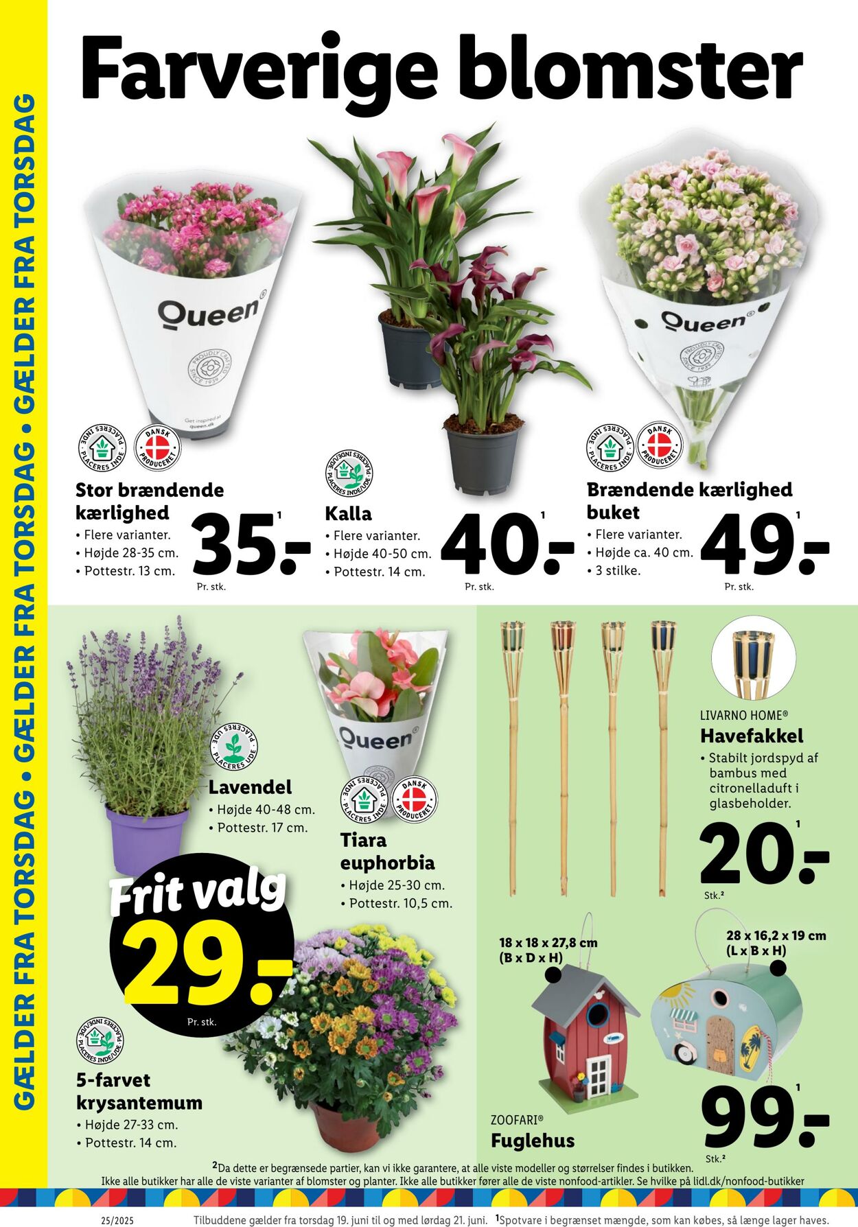 Tilbud Lidl 14.06.2025 - 21.06.2025