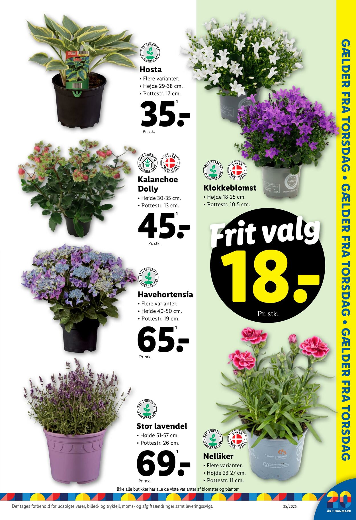 Tilbud Lidl 14.06.2025 - 21.06.2025