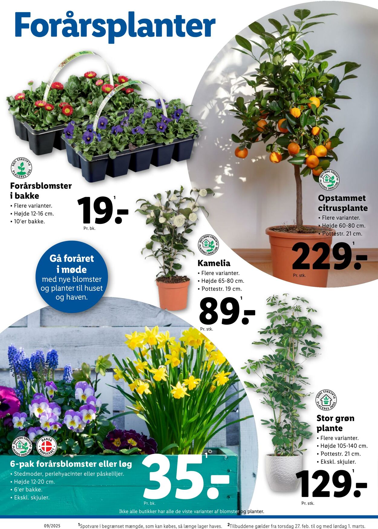 Tilbud Lidl 22.02.2025 - 01.03.2025