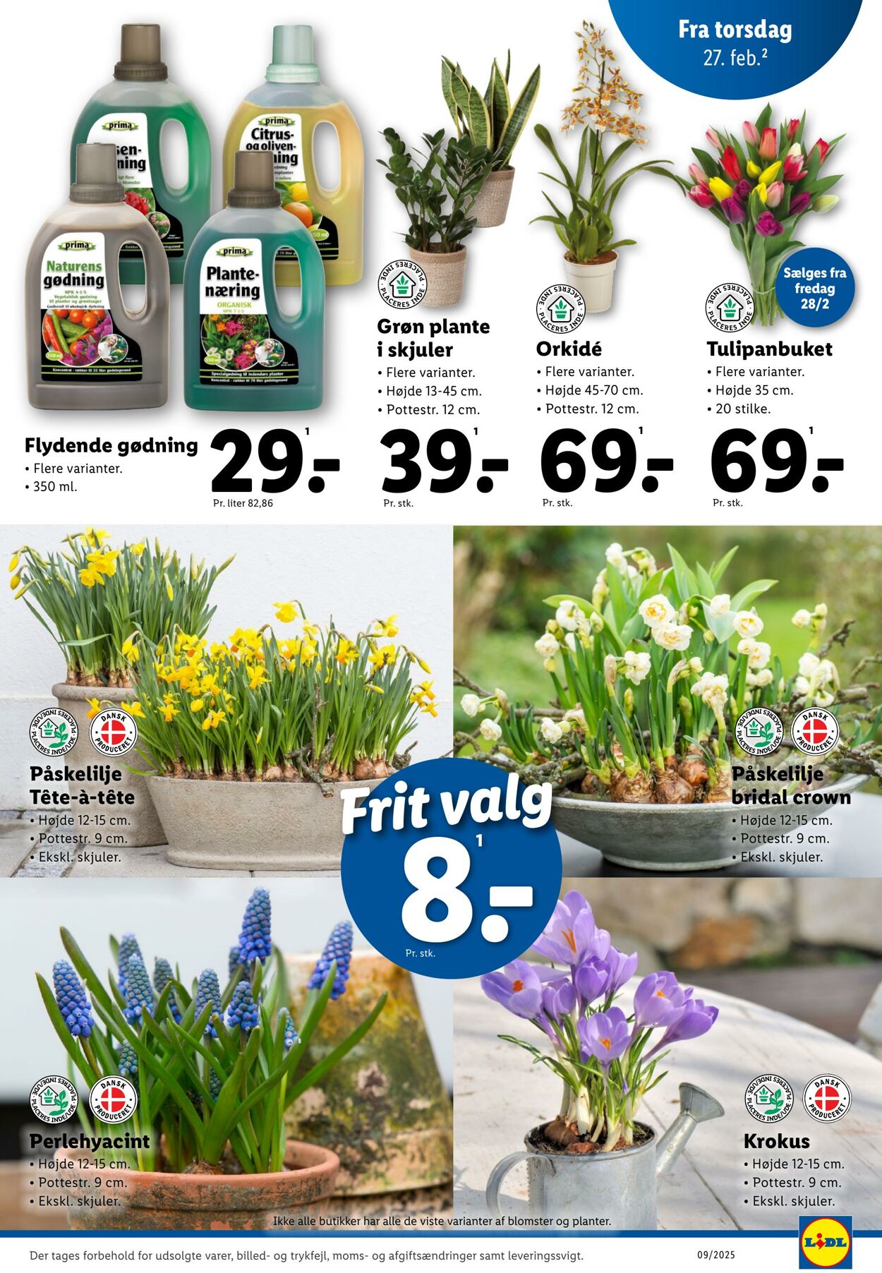 Tilbud Lidl 22.02.2025 - 01.03.2025