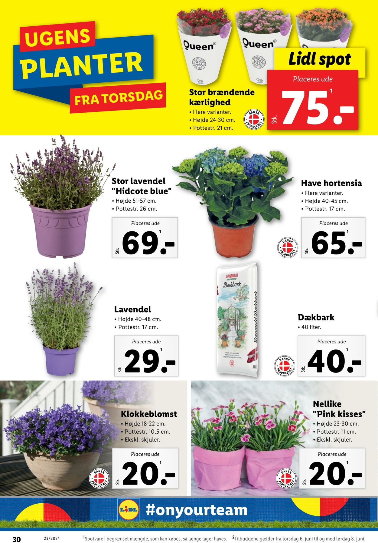 Tilbud Lidl 01.06.2024 - 08.06.2024