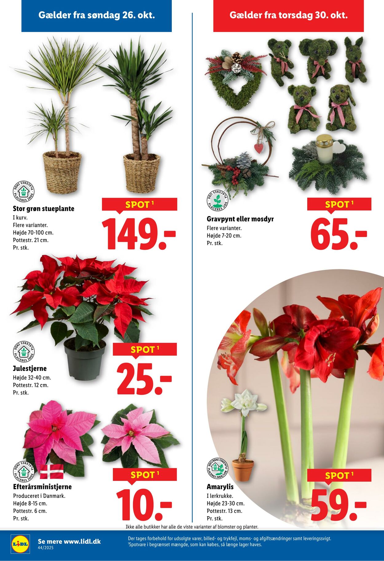 Tilbud Lidl 25.10.2025 - 01.11.2025