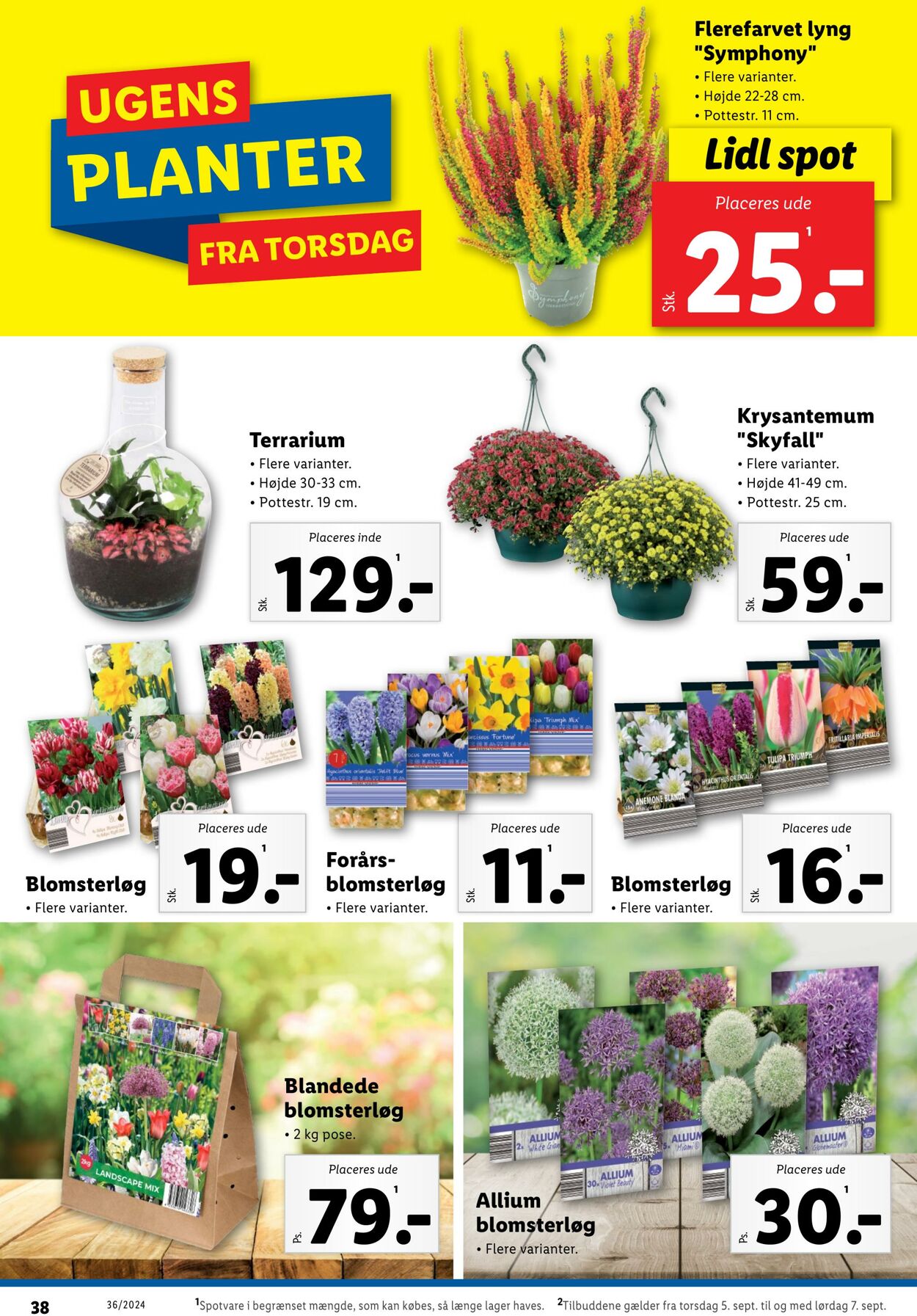 Tilbud Lidl 31.08.2024 - 07.09.2024