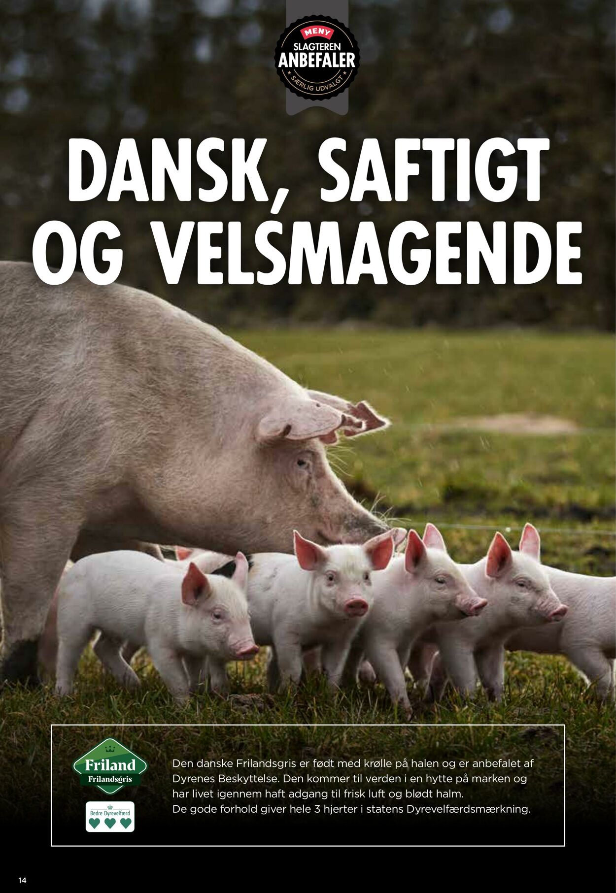 Tilbud Meny 01.07.2025 - 31.07.2025