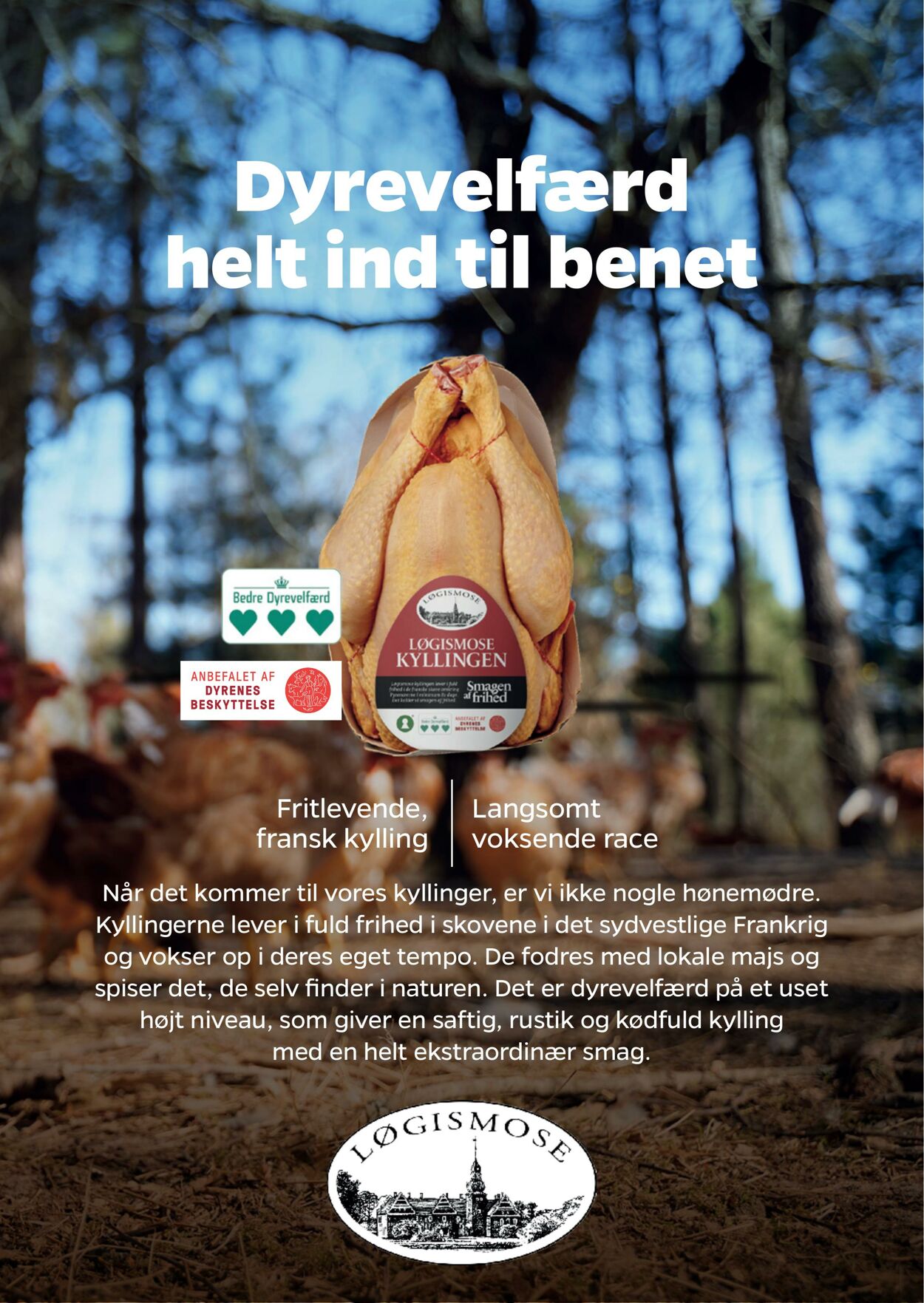 Tilbud Netto 14.03.2025 - 21.03.2025