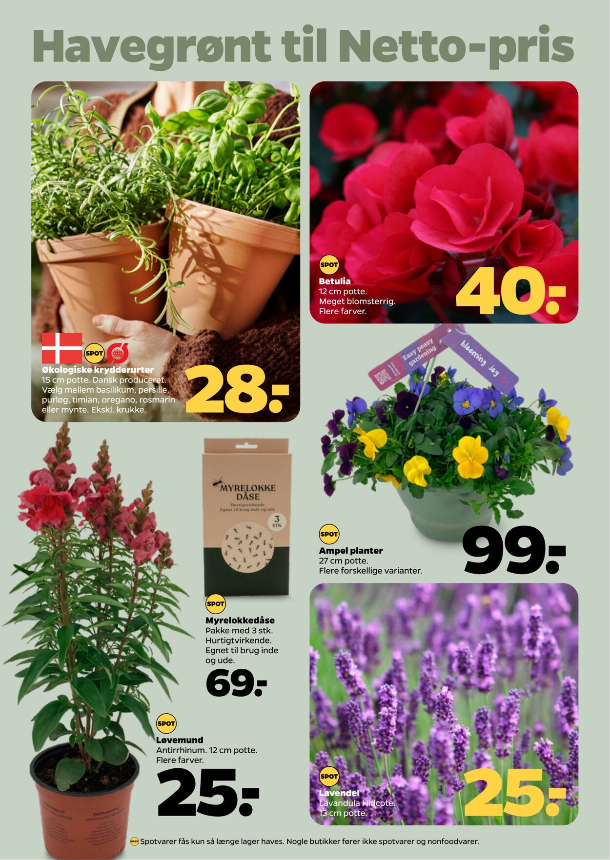 Tilbud Netto 30.05.2025 - 06.06.2025