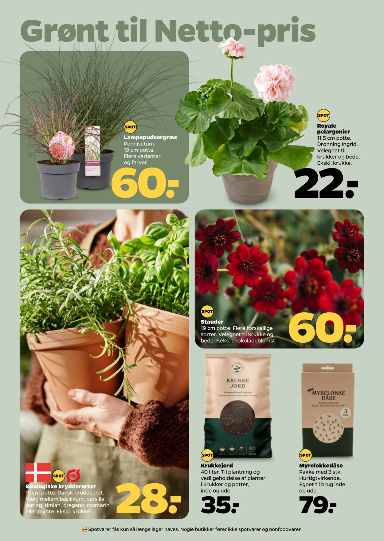 Tilbud Netto 20.06.2025 - 27.06.2025