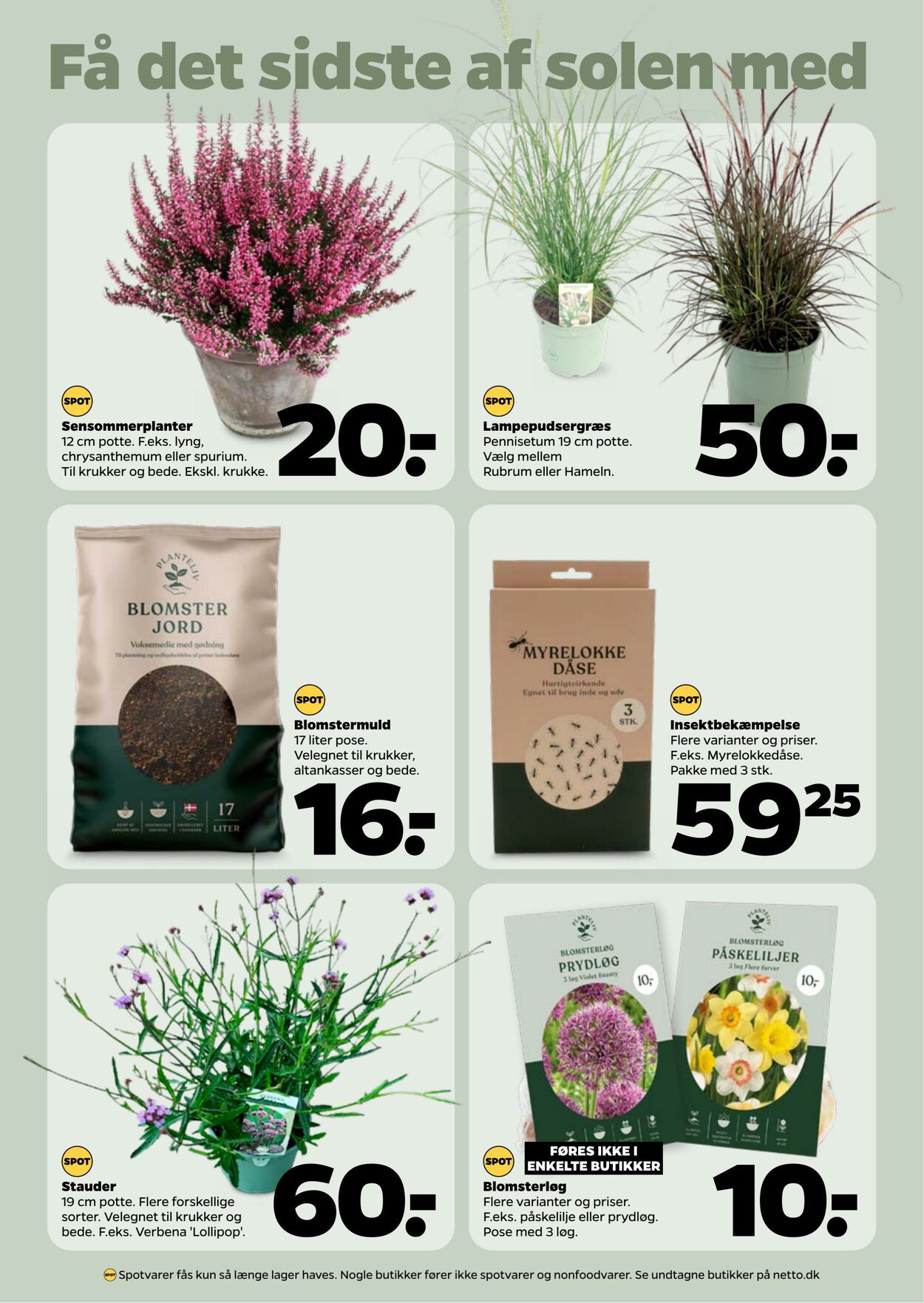 Tilbud Netto 15.08.2025 - 22.08.2025