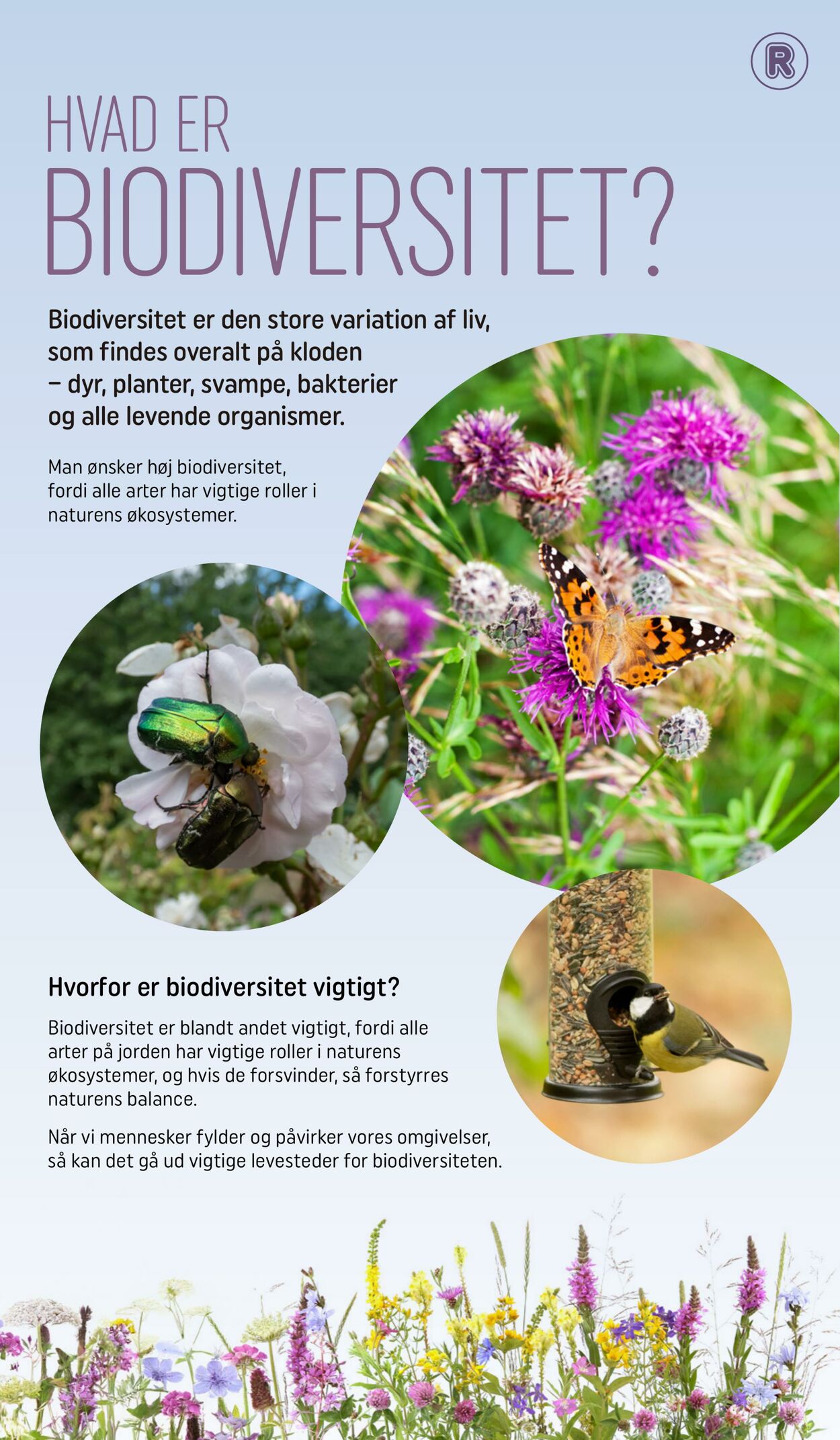 Tilbud Rema 1000 04.03.2026 - 22.03.2026