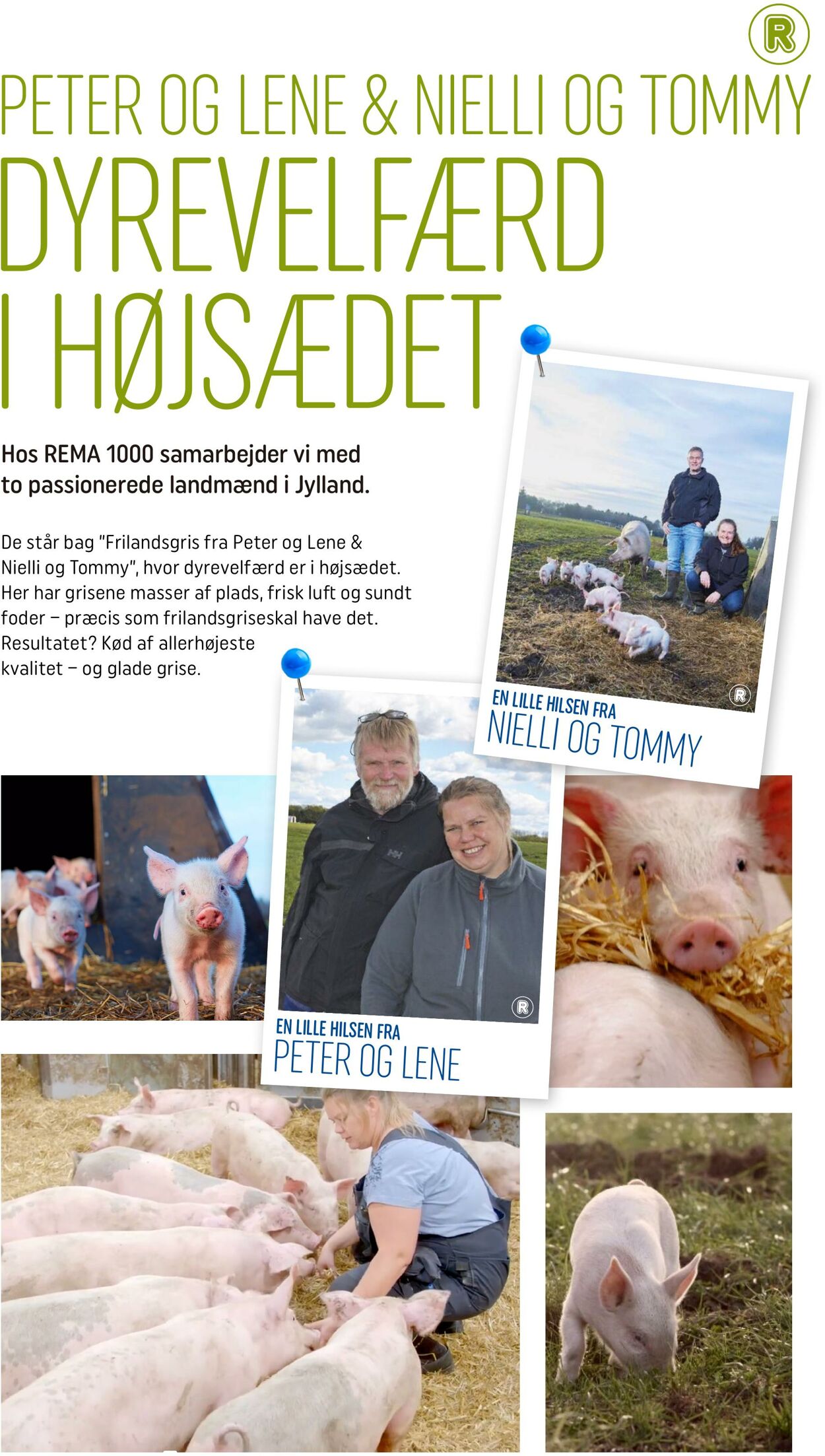 Tilbud Rema 1000 24.06.2025 - 13.07.2025