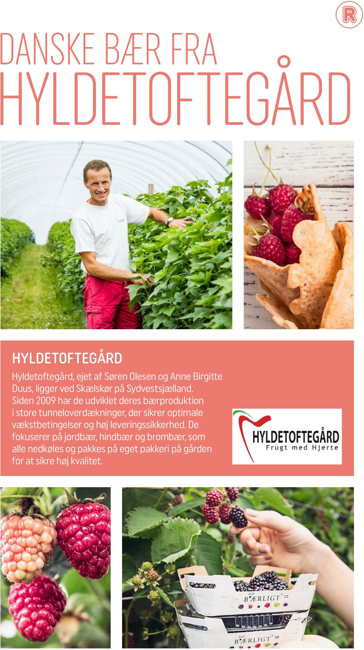 Tilbud Rema 1000 01.08.2025 - 31.08.2025