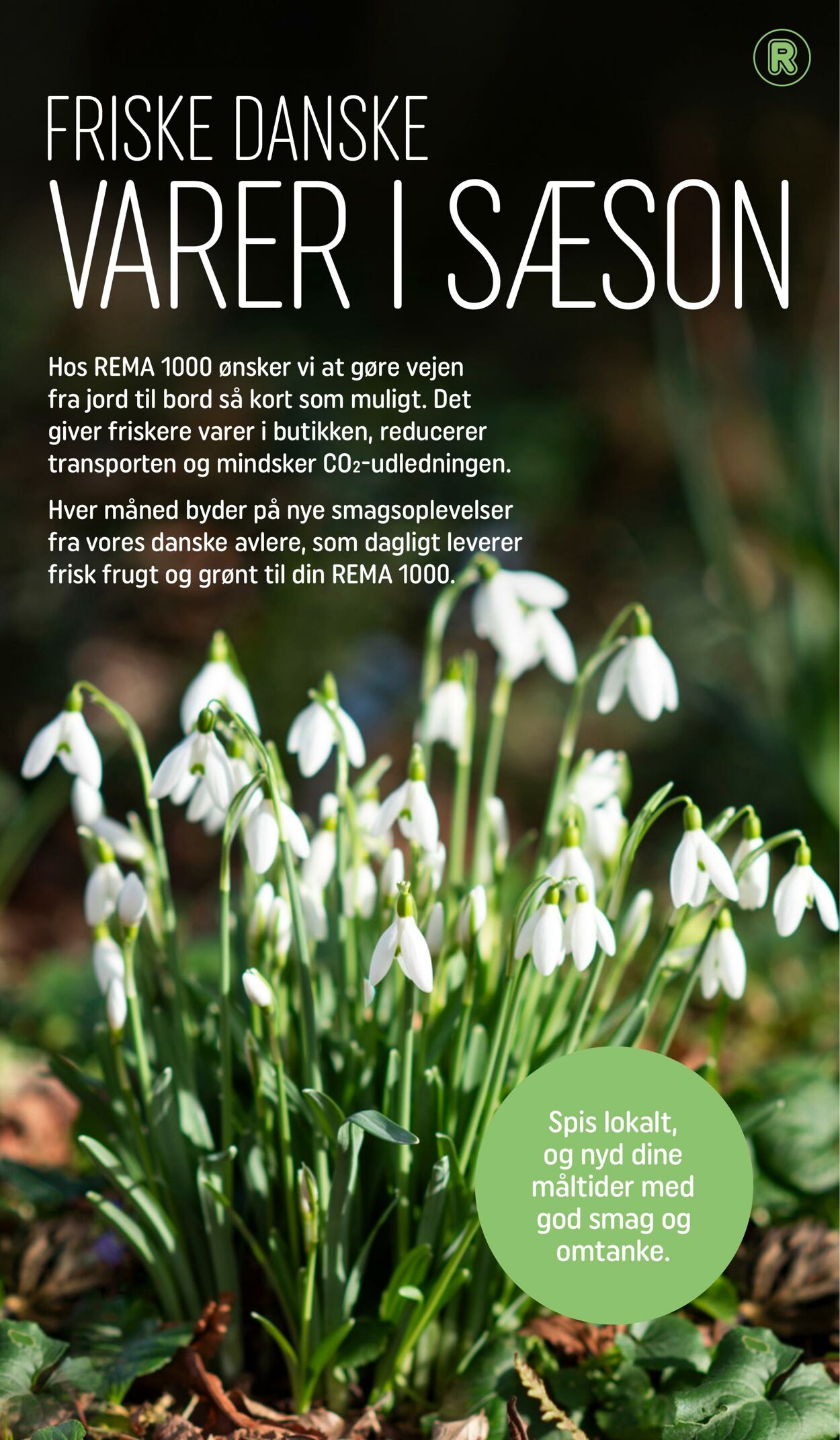 Tilbud Rema 1000 28.02.2025 - 31.03.2025