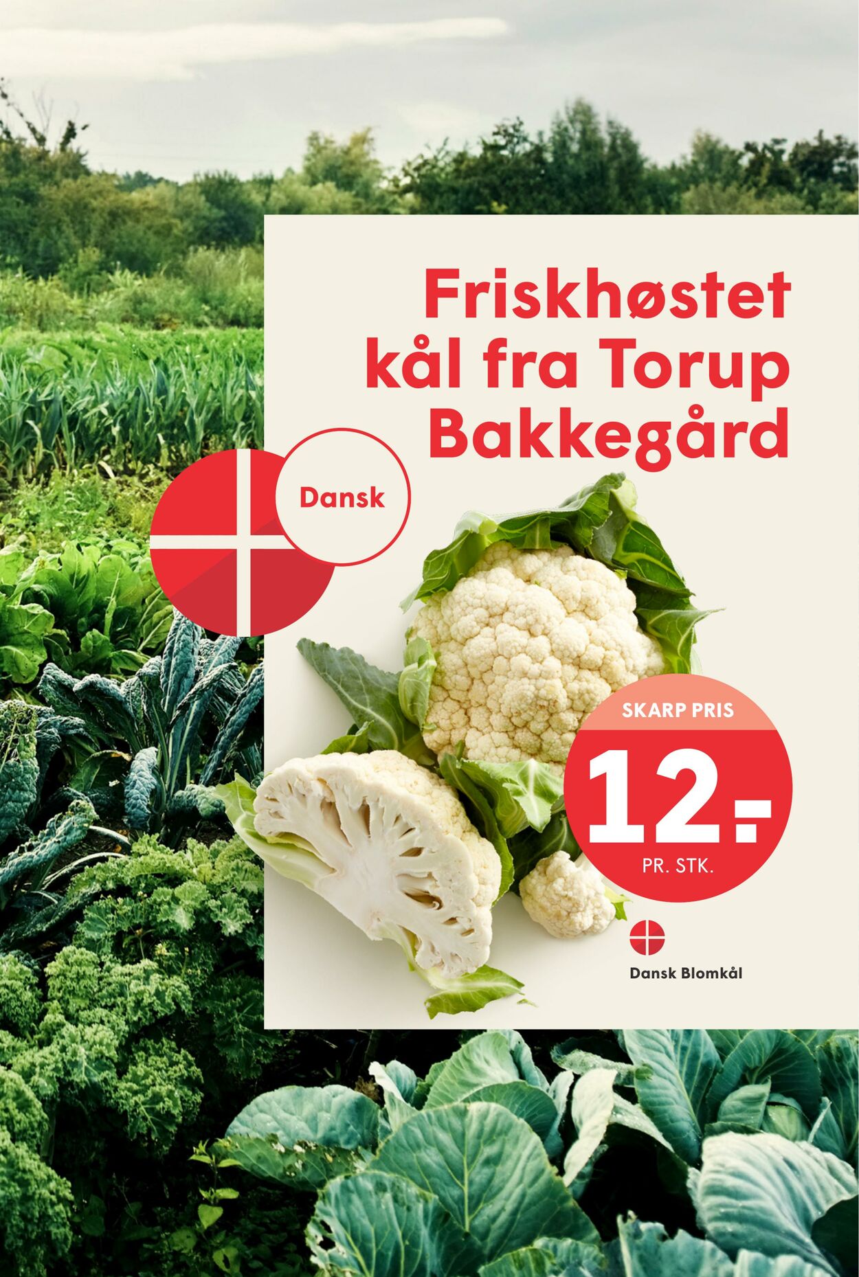 Tilbud Spar 15.08.2025 - 21.08.2025