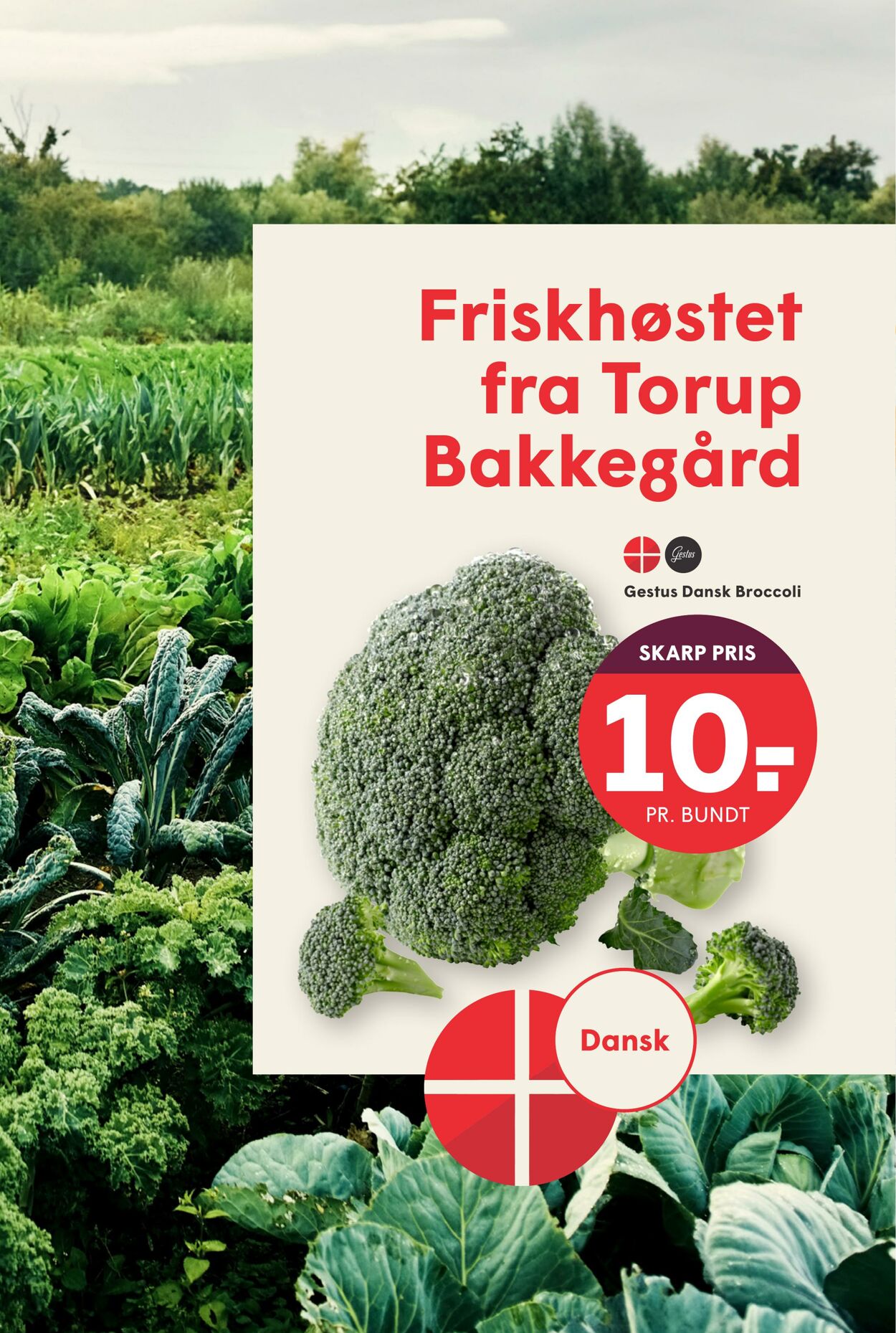 Tilbud Spar 29.08.2025 - 04.09.2025